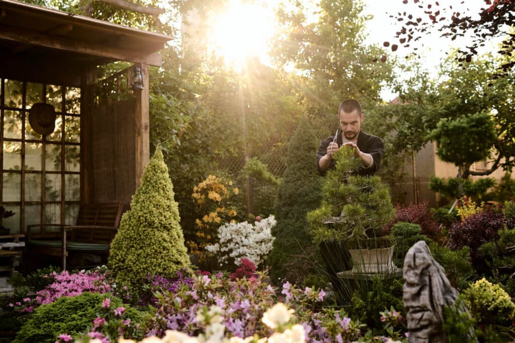 Espaces extérieurs biophiliques 2025 : Créer un jardin thérapeutique chez soi 3 jardin sensoriel : espace extérieur biophilique